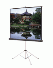 Projection Screens (Portable)